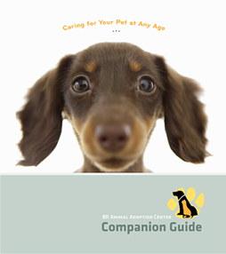 Companion Guide pet care book concept