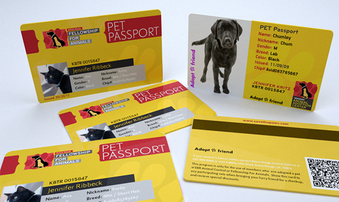 Pet Passport program concept